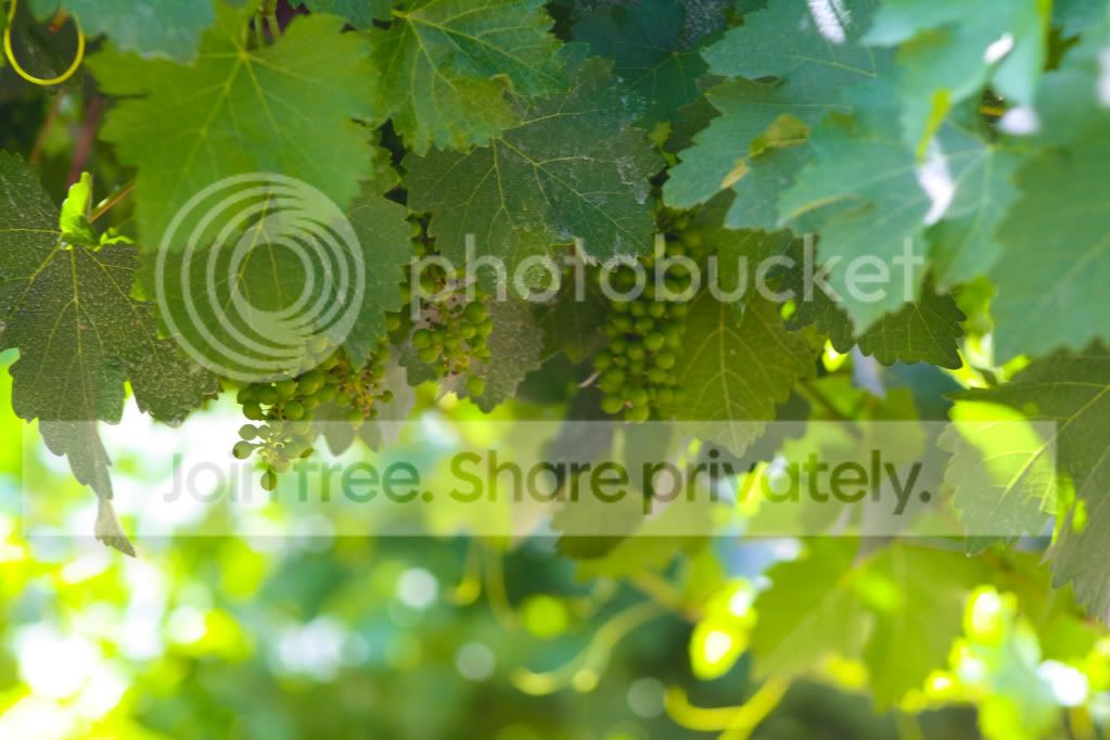 untitled-4636.jpg