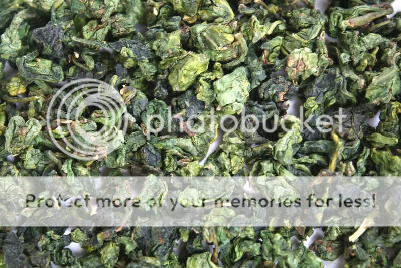 Premium Tie Guan Yin Guan Yin Wang 250g Oolong FRESH  