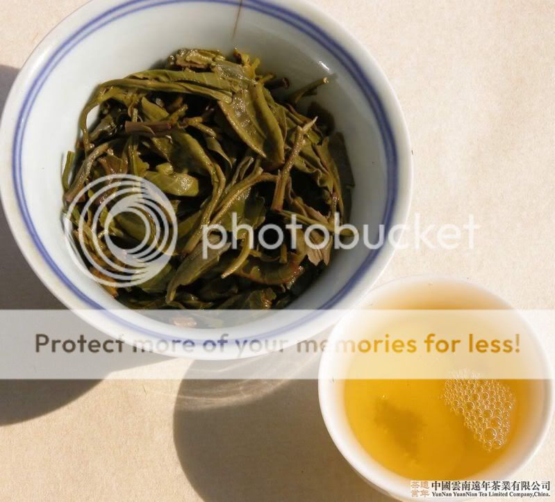 2008 Yuan Nian Ancient Tree RAW Pu erh Tea 357g  